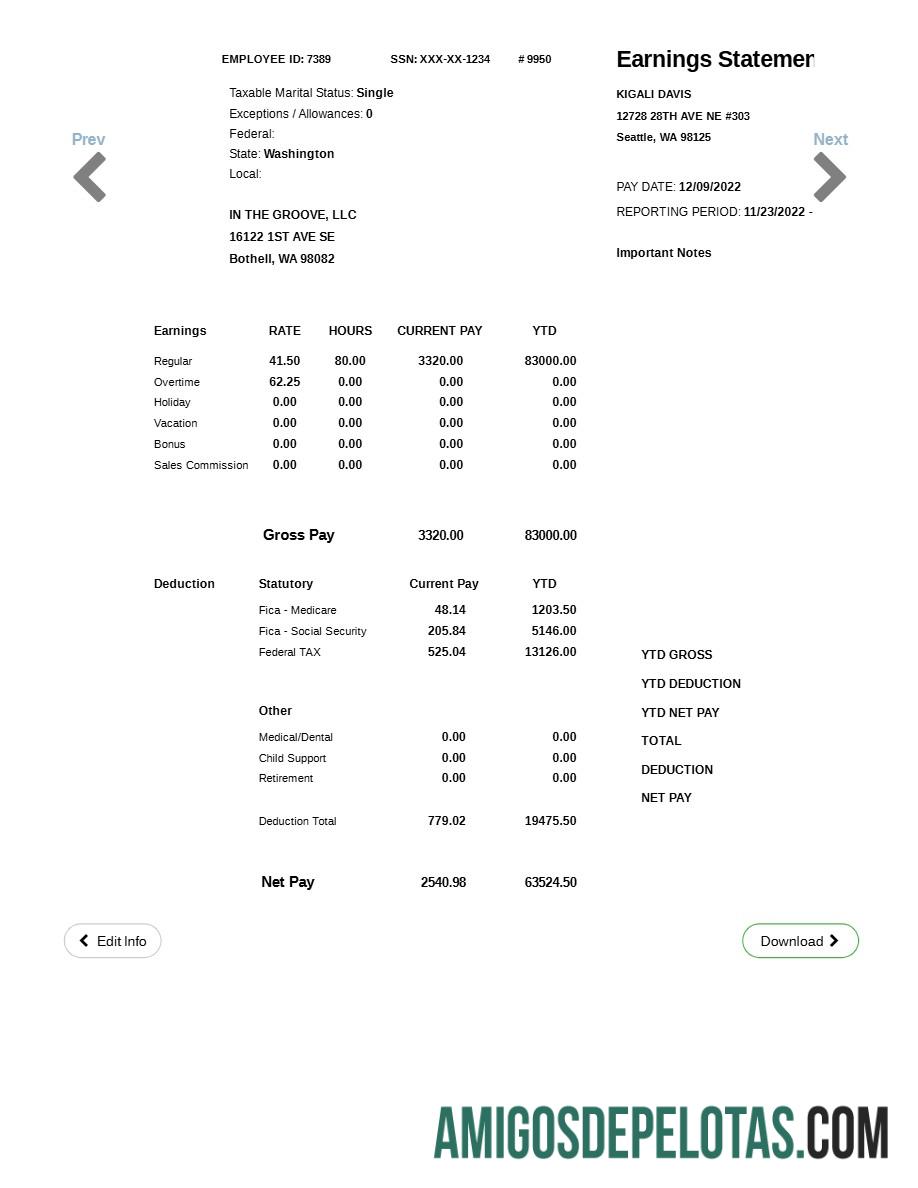 Em branco Modelo de declaração de lucros da IN THE GROOVE, LLC em formatos Word e PDF.pdf, 1